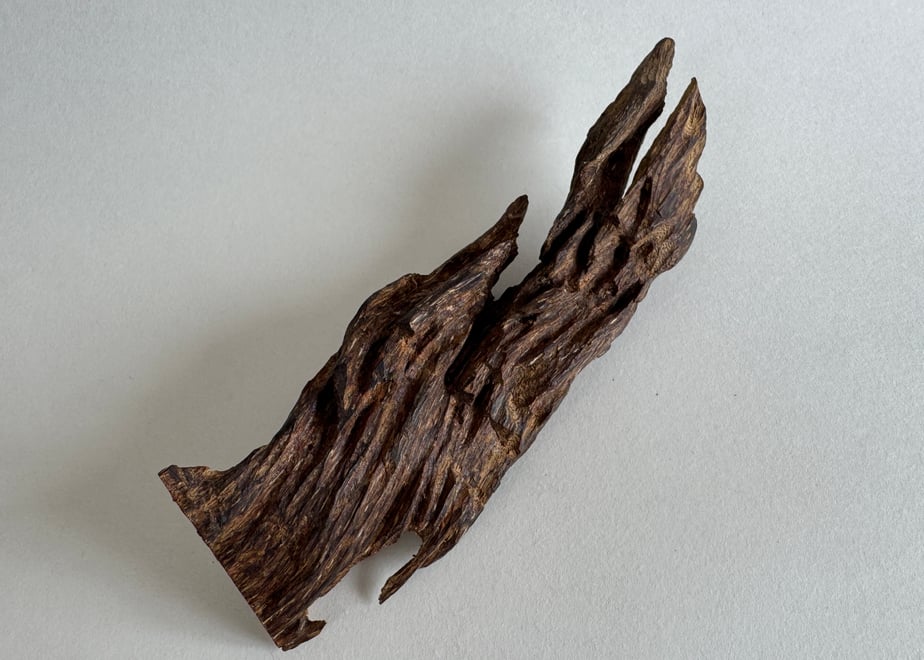 Close-up of a dark brown irregular piece of incense wood on a plain light background.