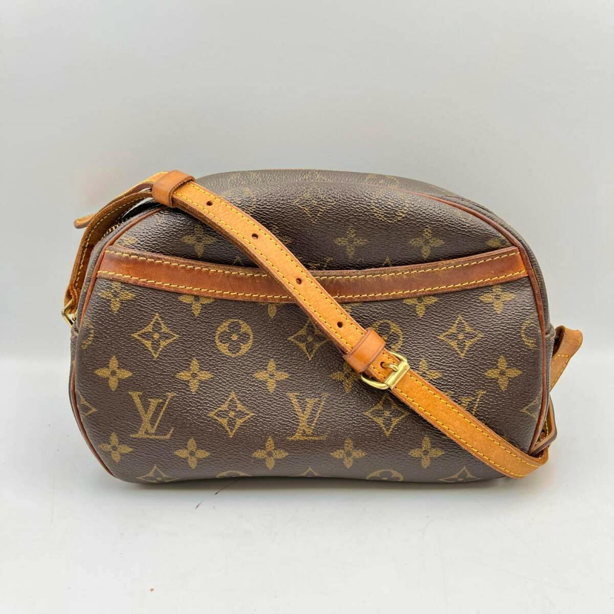 Front view of a Louis Vuitton monogram canvas shoulder bag with leather trim and a leather shoulder strap.