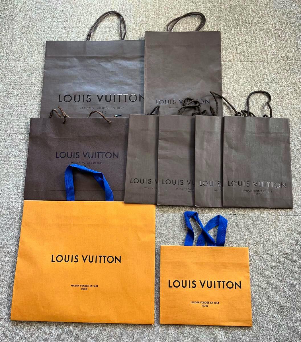 Nine Louis Vuitton paper shopping bags in brown and orange arranged on a carpeted floor.