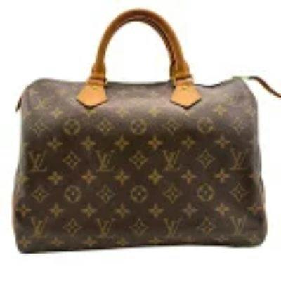 Front view of a Louis Vuitton Speedy bag in monogram pattern with two top handles.