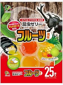 Front packaging showing colorful jelly cups, fruit illustrations, and beetle images for a 25-piece mixed fruit insect jelly.