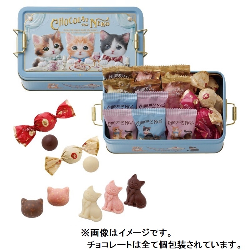 Open blue tin box showing individually wrapped chocolates and a few cat-shaped chocolate pieces displayed.