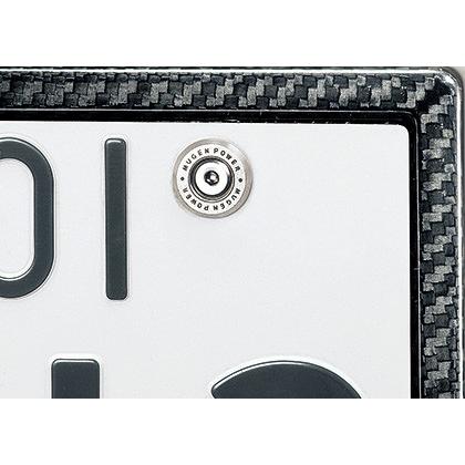 Close-up of the carbon fiber license plate garnish (front) fitted to a license plate corner, showing the carbon pattern and a mounting bolt.