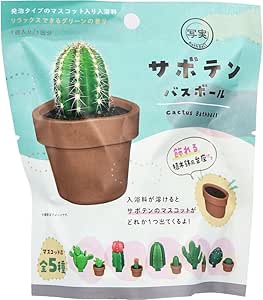 Front of the product pouch packaging for a cactus bath ball showing a cactus-in-pot illustration, variant icons, and the product name.
