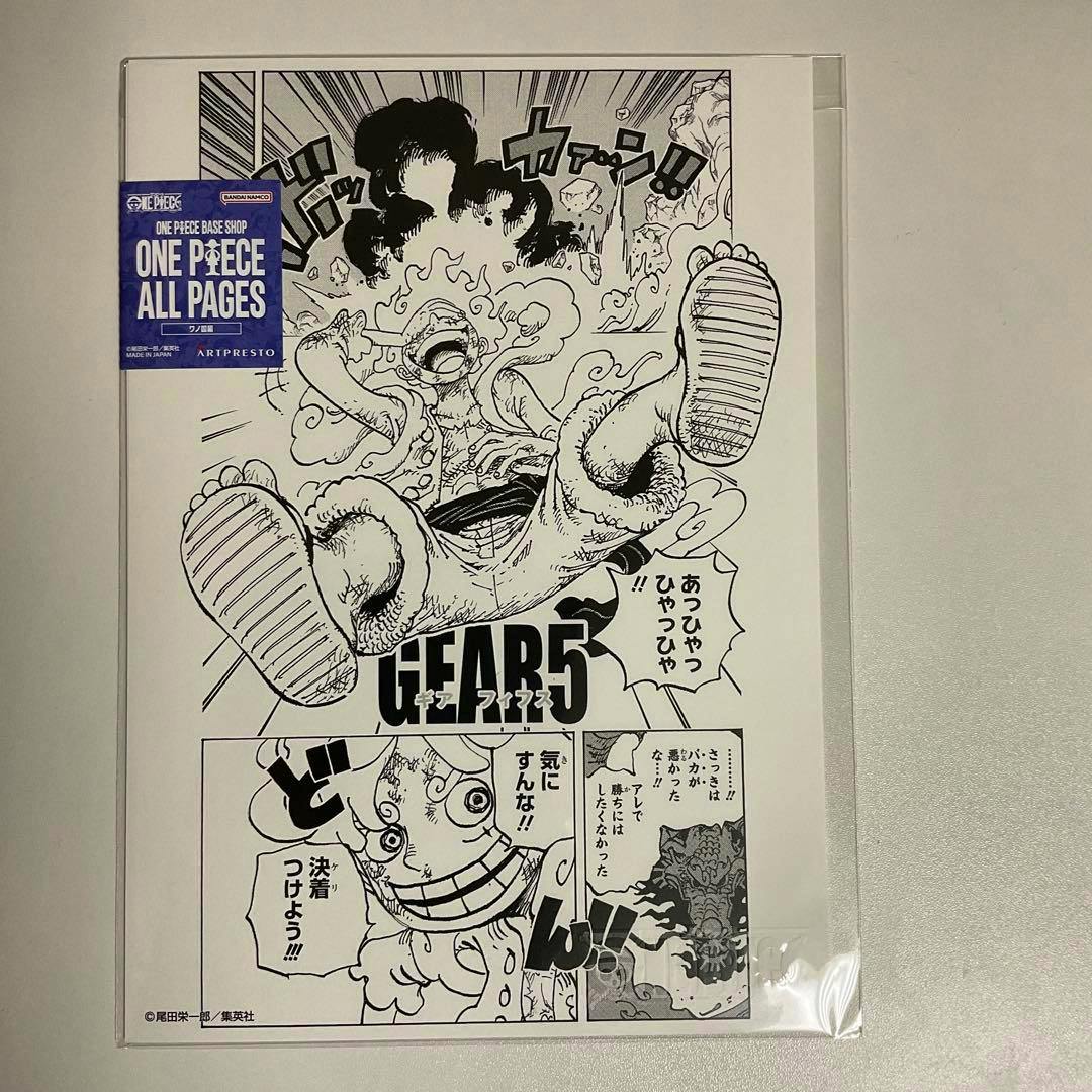 Photo of a monochrome One Piece art print showing Luffy and comic panels, in a clear protective sleeve with a blue "ONE PIECE ALL PAGES" sticker.