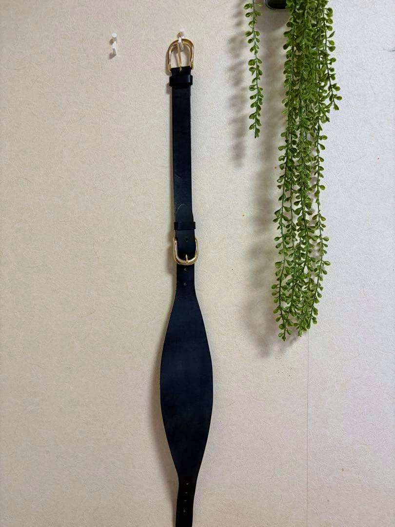 Black leather belt with gold buckles hanging vertically on a wall beside a trailing green plant.