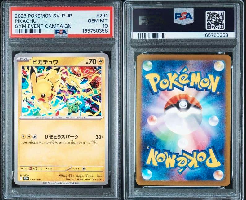 Photo of a PSA-graded Pikachu trading card slab (291/SV-P) showing the card front and back, labeled PSA 10.