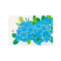 Front of a postcard showing a blue plumbago (ルリマツリ) flower illustration with green leaves and a small red seal in the corner.