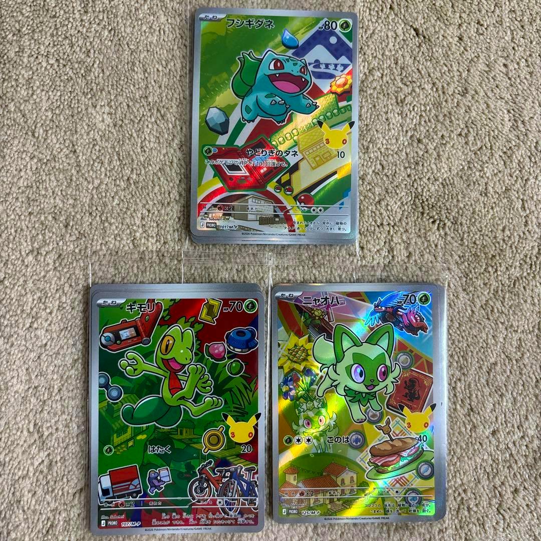 Three Pokémon trading cards featuring フシギダネ, キモリ, and ニャオハ with holographic AR artwork laid on carpet.