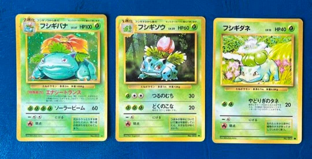 Fronts of three Japanese Pokémon trading cards showing Bulbasaur, Ivysaur, and Venusaur arranged side by side on a blue background.