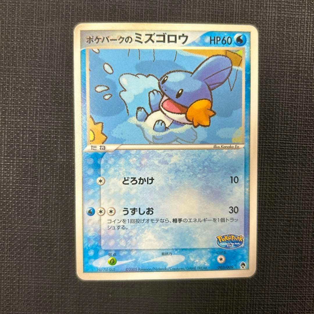 Front of the trading card ポケパークのミズゴロウ showing the card artwork and text.