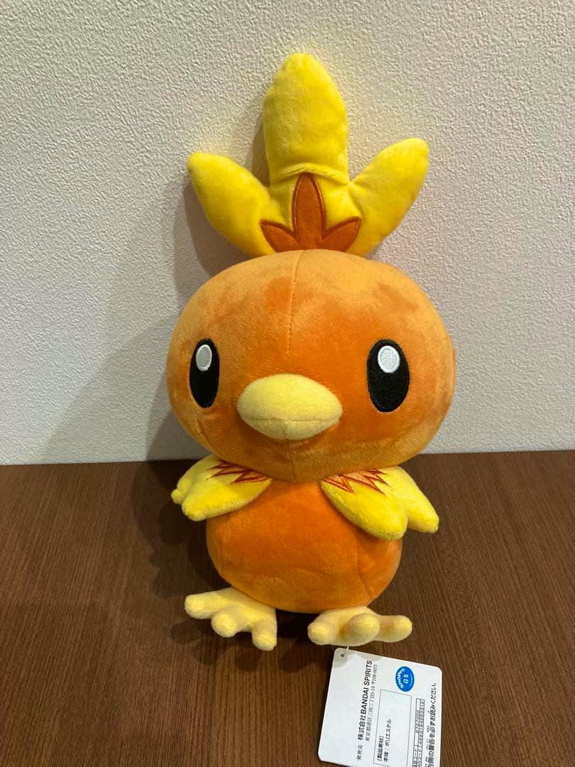 Front view of an orange-and-yellow Torchic plush toy standing on a wooden surface with its tag visible.