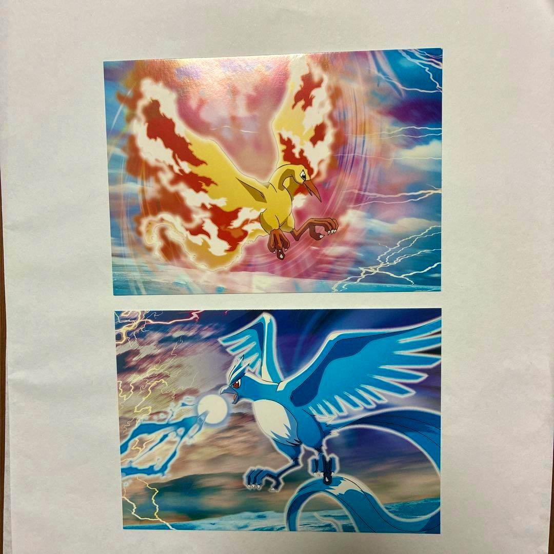 Photo of two Pokémon postcards on a sheet showing Moltres (top) and Articuno (bottom) artwork on the front.