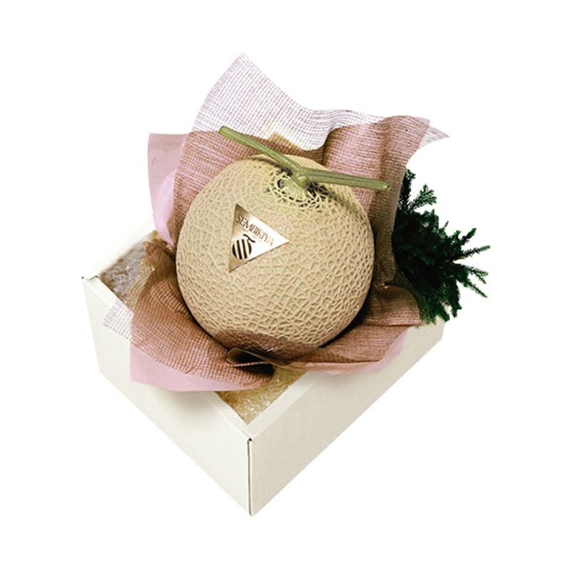 Single muskmelon placed in a decorative gift box with wrapping.