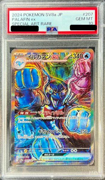 Front photo of the graded Pokémon trading card イルカマンex (SAR) encased in a PSA slab, showing the card artwork and a label indicating GEM MT 10.