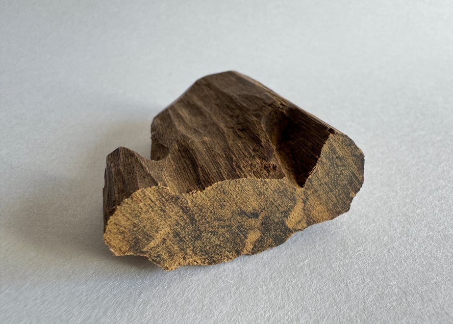 A small dark irregular piece of incense wood (aloeswood) photographed on a light background.