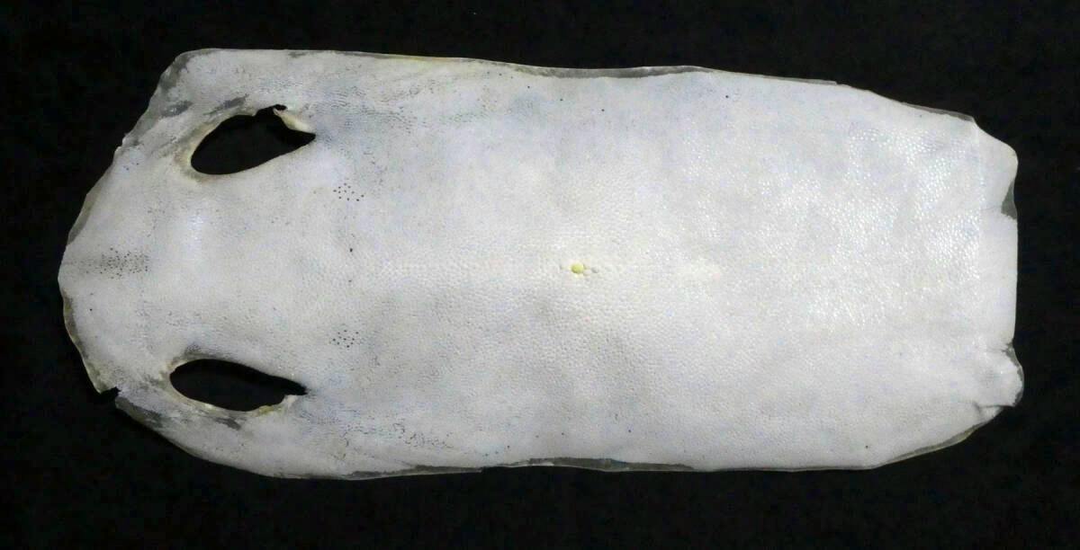 A white sheet of shark/ray skin for sword-handle wrapping (柄巻用鮫皮) laid flat on a black background.