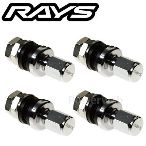 Four RAYS CP inside car air valves (4-piece set) displayed on a white background with the RAYS logo above.