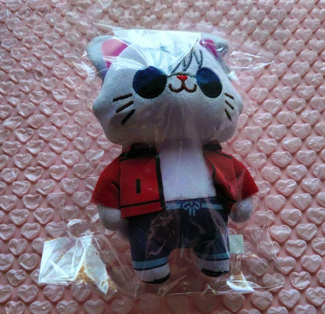 Front view of the plush keychain in its plastic packaging, showing the character wearing a red jacket on a pink heart-pattern background.