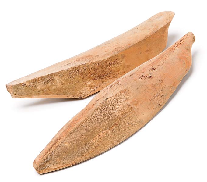 Two pieces of dried fish (薩摩本節) displayed on a white background.