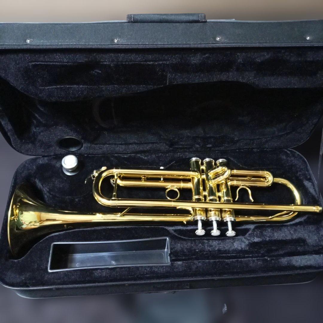 Gold SELVA trumpet placed inside a black lined case with a mouthpiece visible.