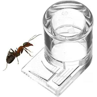 Clear small plastic insect water dish shown beside an ant illustration.