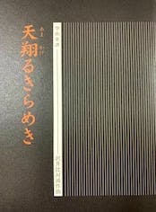 Front cover of the book score showing vertical stripes and Japanese title text.