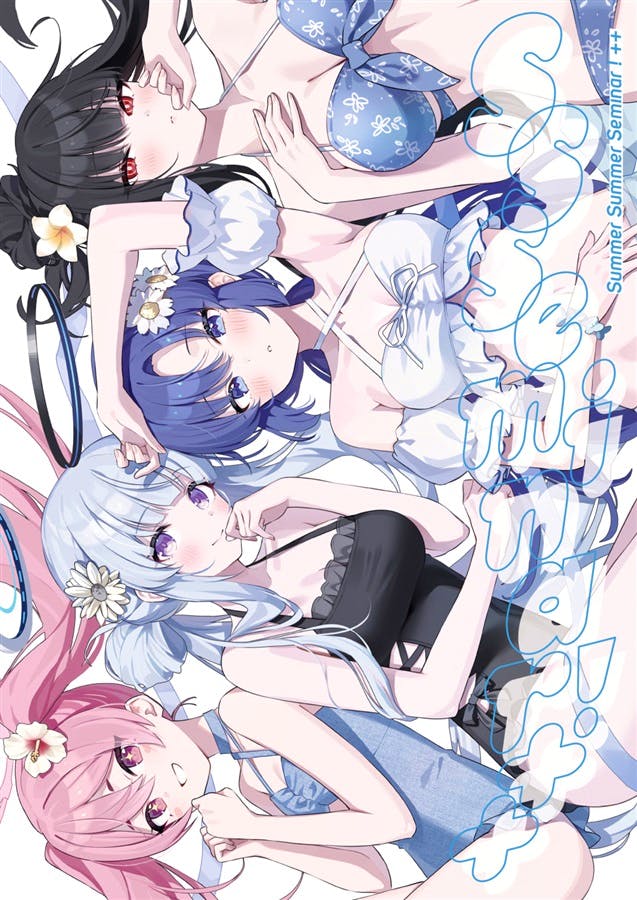 Illustration book cover showing four anime-style girls in swimsuits arranged together.