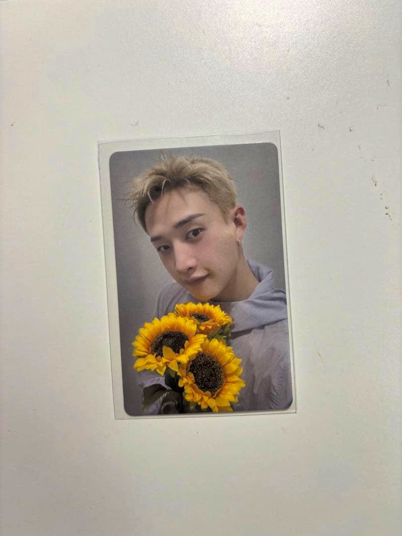A Straykids photocard placed on a white surface, showing a person holding three sunflowers.