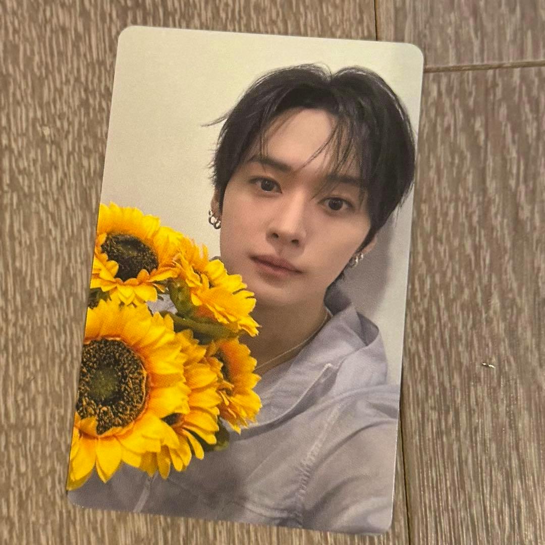 Photocard for Stray Kids (名古屋 会場限定トレカ) リノ showing the card with the member holding sunflowers placed on a wood floor.