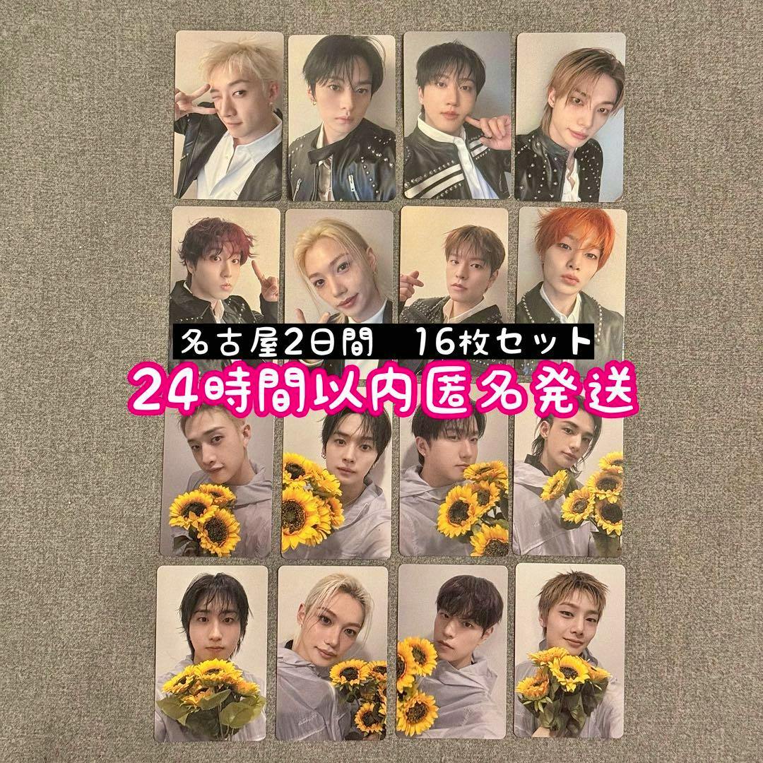 Sixteen Stray Kids photocards laid out in a 4x4 grid on a grey surface, some cards showing members holding sunflowers and Japanese text overlaid.