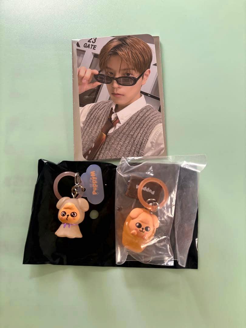 A Stray Kids photocard showing a portrait placed above two small character keychains on a pale background.