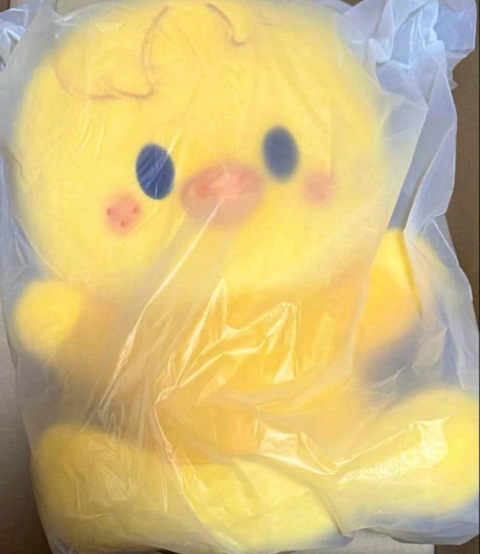 Front view of the yellow SKZOO HUG ME Ver ポガリ plush inside clear plastic packaging showing its face and paws.