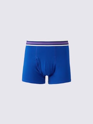 Front view of blue men's boxer underwear with a purple-and-white striped waistband.