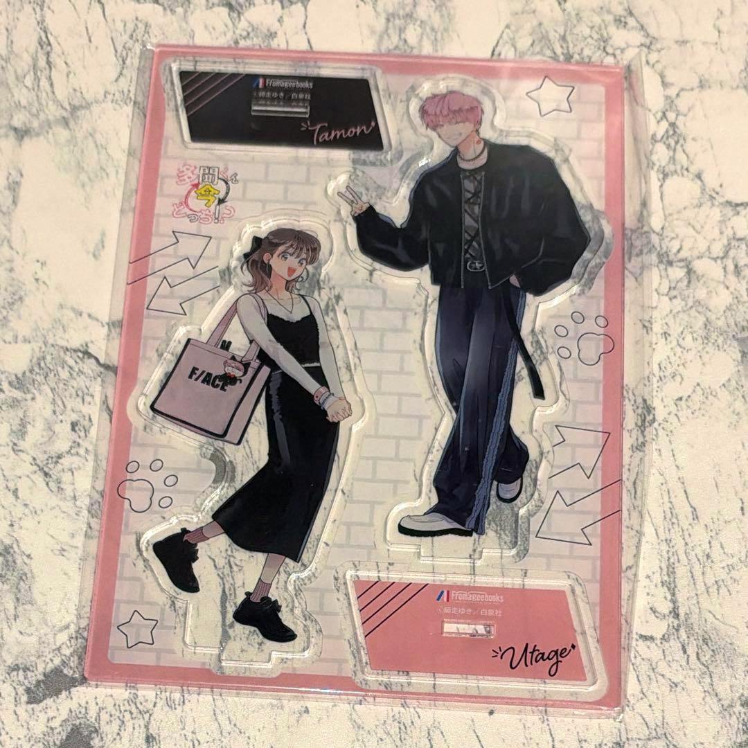 Packaged acrylic stand set with two illustrated character figures and a base on a pink backing card.