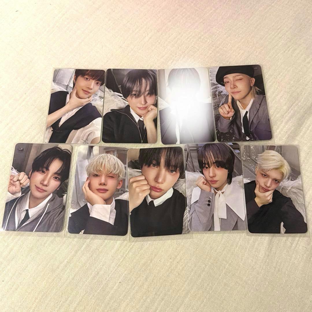 Ten &TEAM Back To Life photocard portraits arranged in two rows on a light fabric surface.