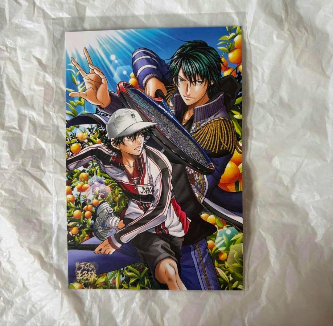 Postcard depicting illustrated characters 越前リョーマ and 越前リョーガ from The Prince of Tennis holding a tennis racket amid orange trees.