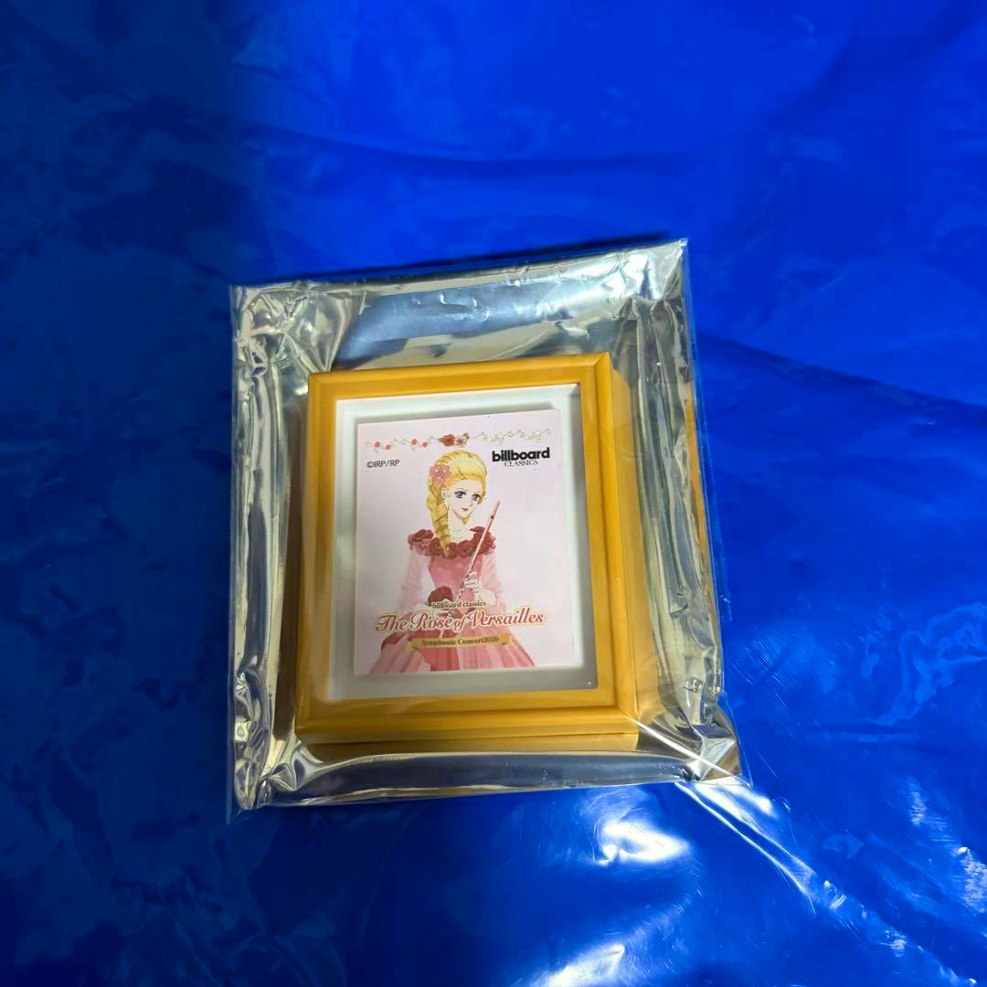 Fridge magnet featuring Antoinette in a small gold frame sealed in plastic on a blue background.