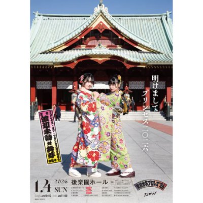 Book cover showing two people in colorful kimonos posing in front of a traditional Japanese temple building.