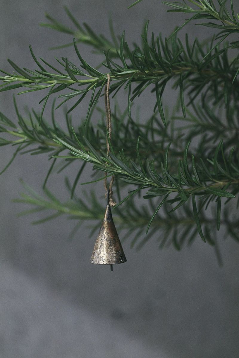 Small iron conical wind chime (トンガリベル S) hanging from a plant branch.