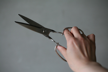 A hand holding the Toribe Seisakusho kitchen scissors against a plain gray background.