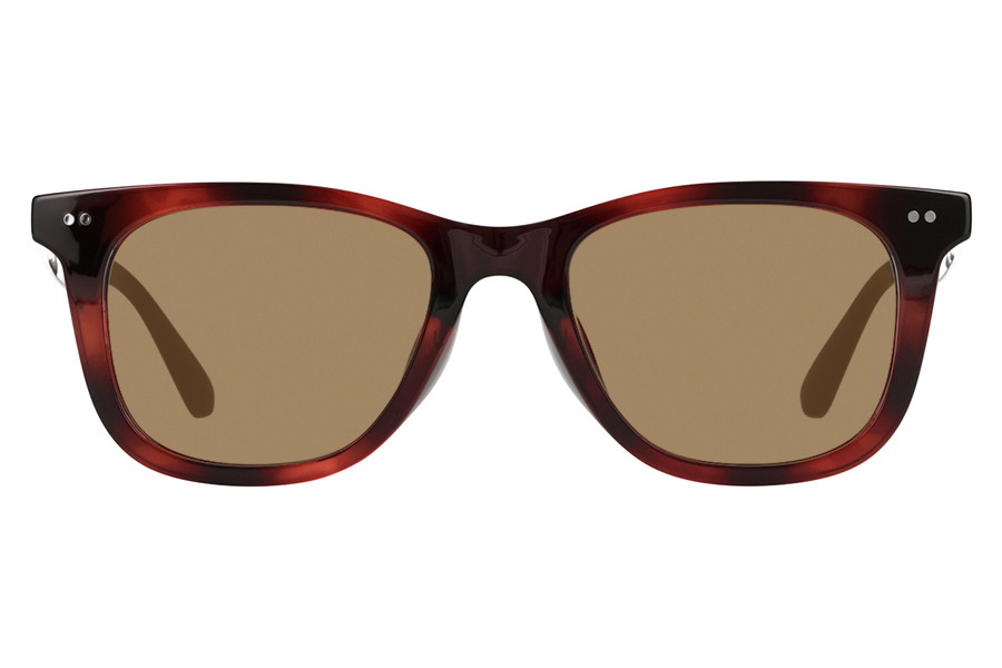 Front view of the TREND sunglasses showing brown lenses and a dark tortoiseshell-style frame on a white background.
