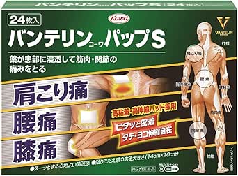 Green product box for バンテリンコーワパップS 24枚 showing an anatomical figure, application areas, and package text.