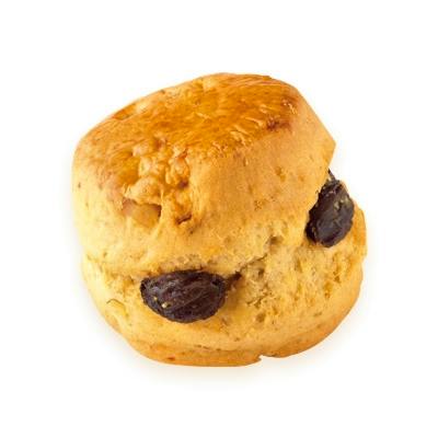 Single SCONE Walnut & Raisin scone showing raisins on a white background.