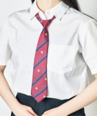 Model wearing a red emblem-pattern striped school necktie over a white short-sleeve shirt.