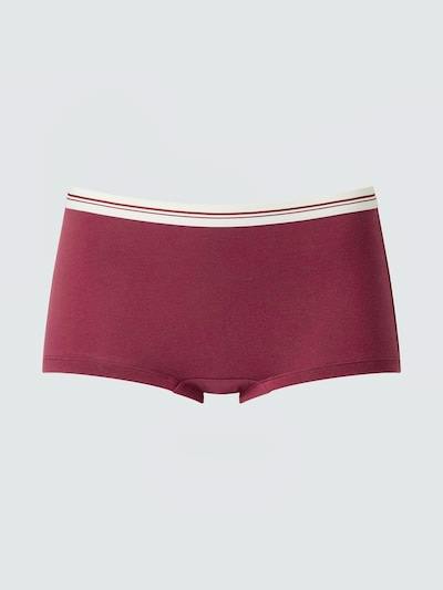 A burgundy women's cotton boxer-style short with a white-striped elastic waistband photographed flat on a pale background.