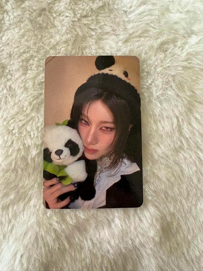 Photocard front showing a person holding a small panda plush placed on a soft furry background.