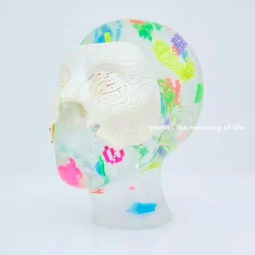 Cover art for the CD 'yama / the meaning of life' showing a stylized translucent head with colorful paint-like patches and the text 'yama the meaning of life'.
