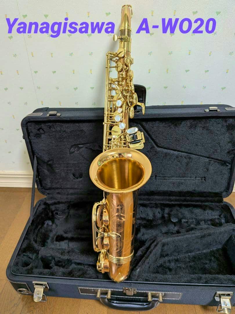 Yanagisawa A‑W020 alto saxophone standing upright in its open black case.