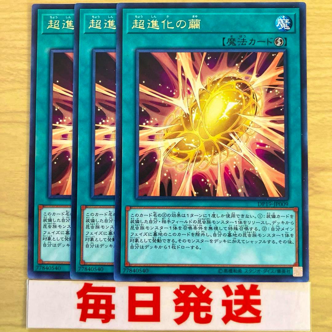 Three Japanese Yu-Gi-Oh trading cards titled '超進化の繭' displayed overlapping on a wooden surface with a '毎日発送' label beneath.
